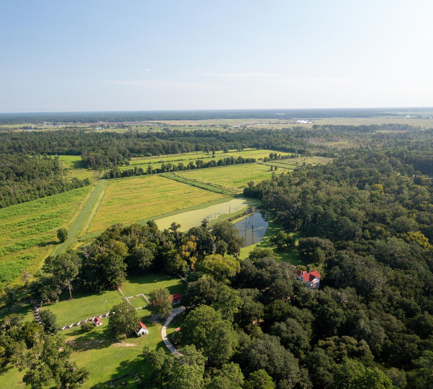 Pano view of Twick